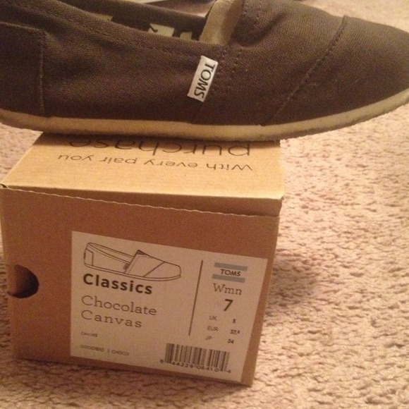 Chocolate brown toms