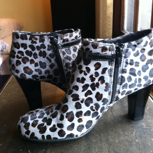 Leopard heals