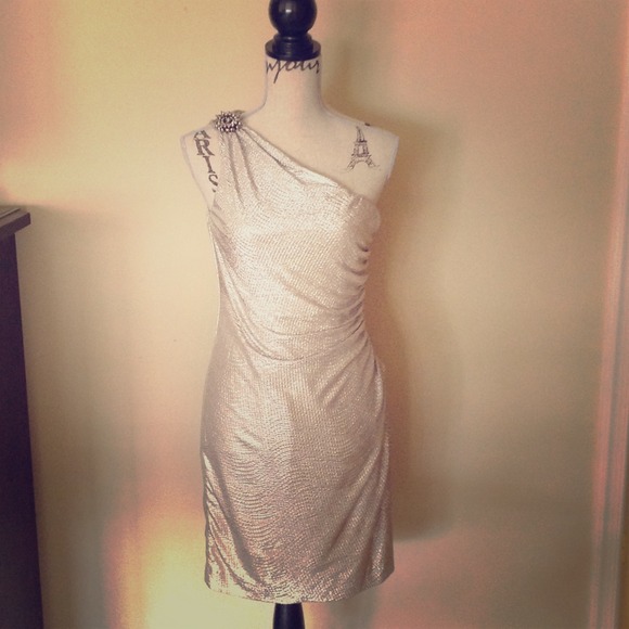Silver lame' dress