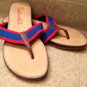 Splendid  Flip Flops  size 8