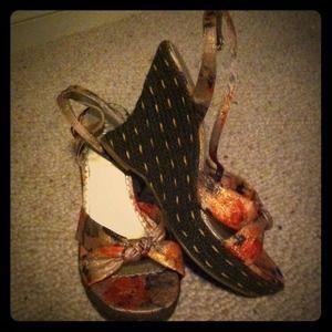 Multicolored Wedges