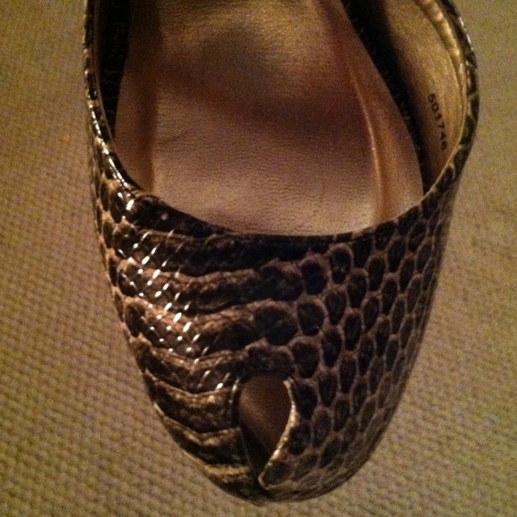 Snakeskin Heel - Picture 4 of 4