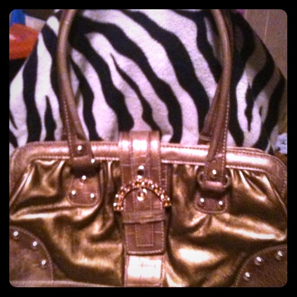 Kathy Van Zeeland Bronze handbag