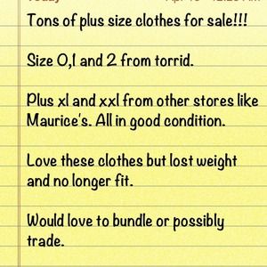 Torrid and Maurice's plus size.