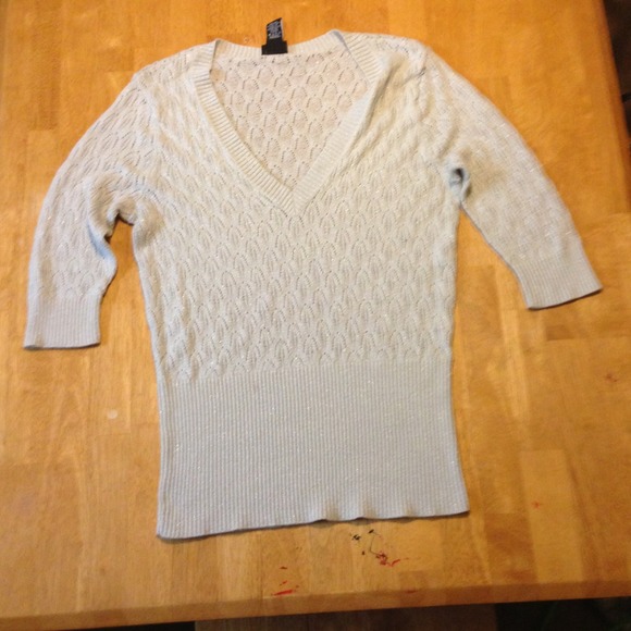 Sliver sparkly sweater from torrid.