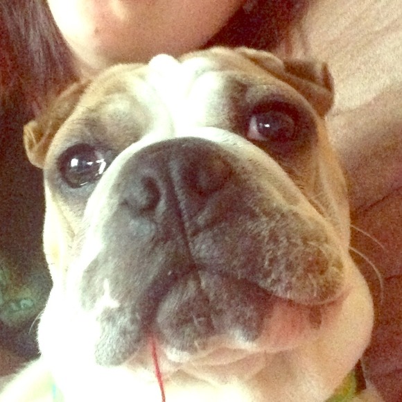 Willing to bundle or trade