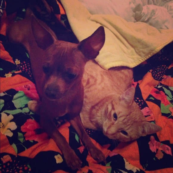The babies! Opal and Tanner💜