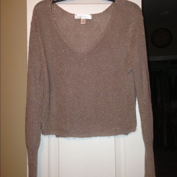 Metallic taupe crop sweater