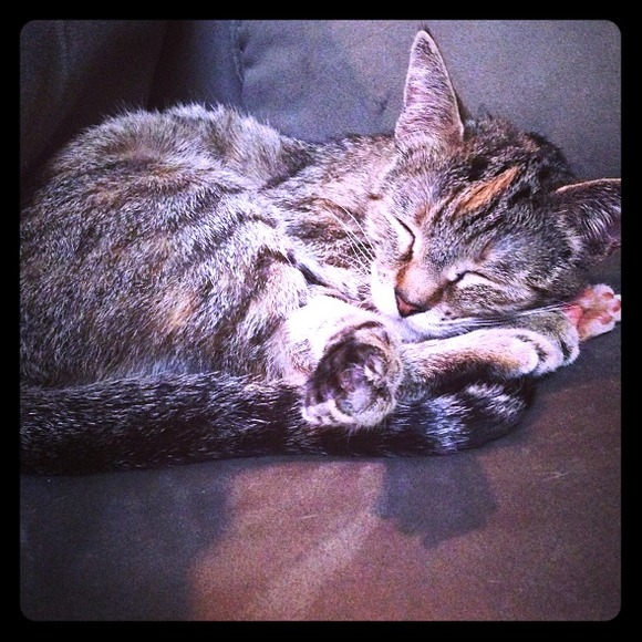 Free gift:) Jk. 🚫Not for sale🚫 :)