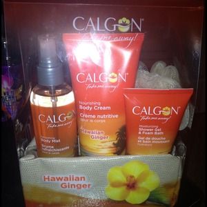 Body wash, body most, lotion, loofa and makeupbag