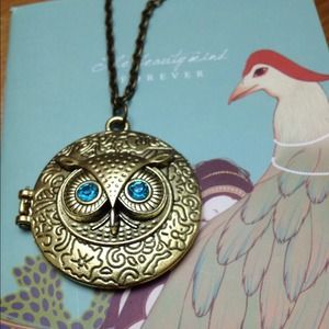 Owl sweater necklace