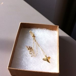 Gold plated delicate shark tooth necklace