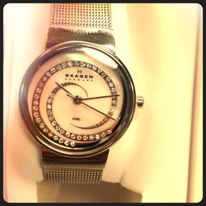 ⛔NIB SKAGEN STAINLESS STEEL WATCH⛔ ON HOLD ⛔