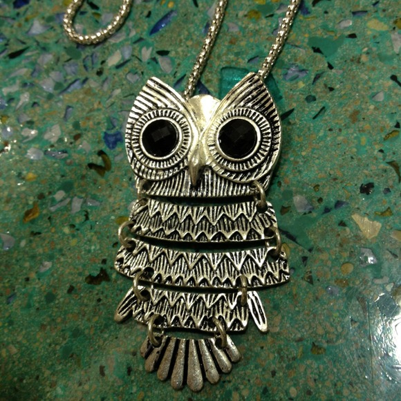 Park Lane Jewelry - Adorable owl necklace