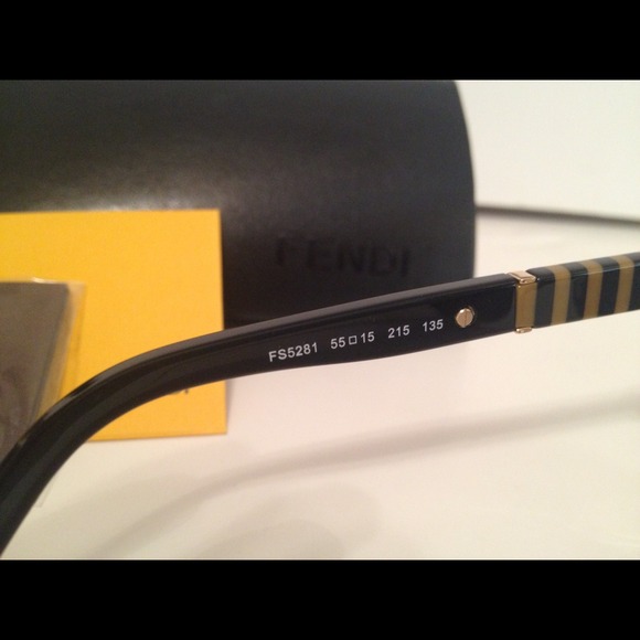 FENDI Havana/Black Sunglasses