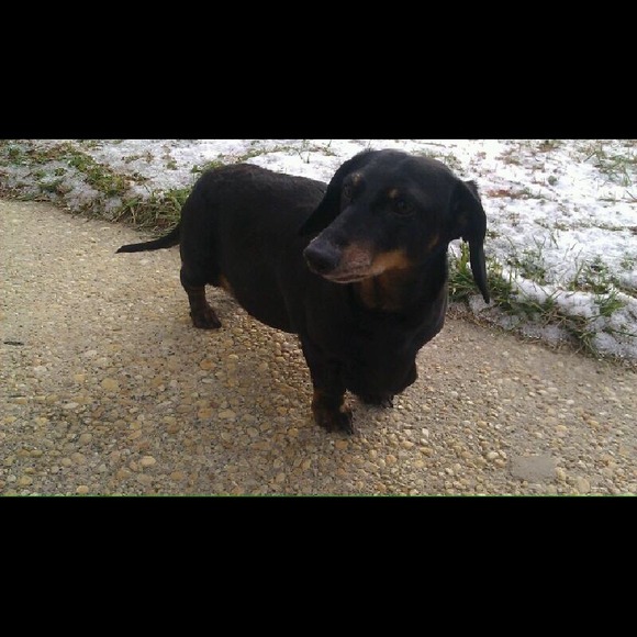 ๐ปMEET YOUR SELLER ๐น @nanuitz ๐ - Picture 3 of 4