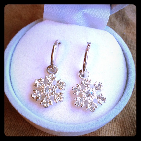 Snow flake earrings