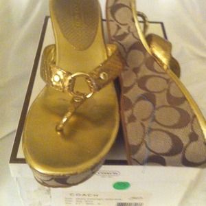 Coach Gold Sandals