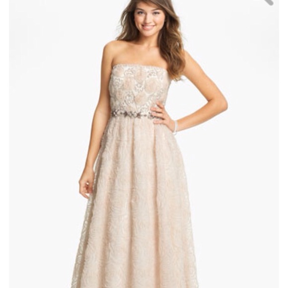 Adrianna Papell Dresses & Skirts - Adrianna Papell Blush Gown - Sz 4-BNWOT Reduced