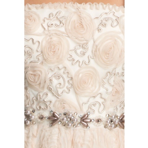 Adrianna Papell Blush Gown - Sz 4-BNWOT Reduced - Picture 5 of 7