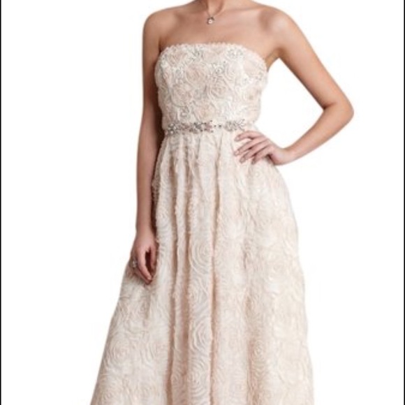 Adrianna Papell Blush Gown - Sz 4-BNWOT Reduced - Picture 3 of 7