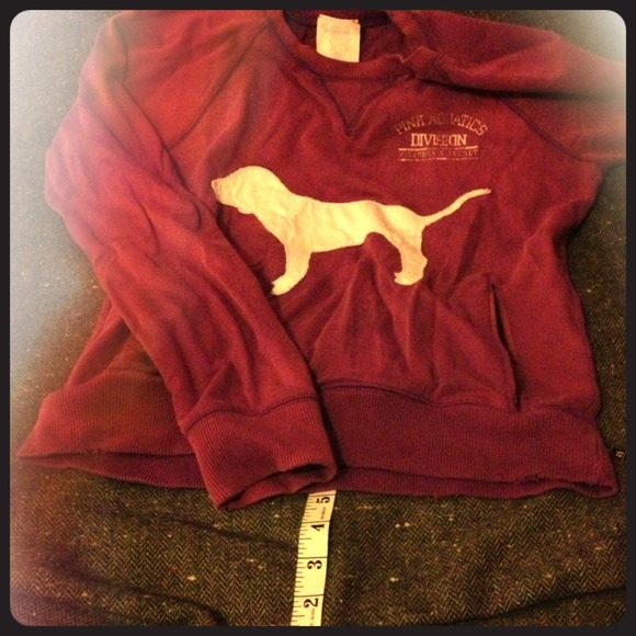 Victoria's Secret pullover sweater - Picture 1 of 4