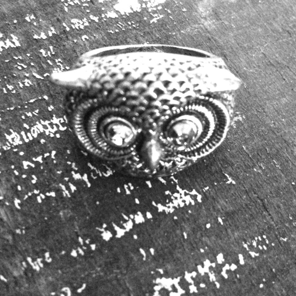 Ring of an owl's head