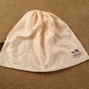 Large coach dust bag