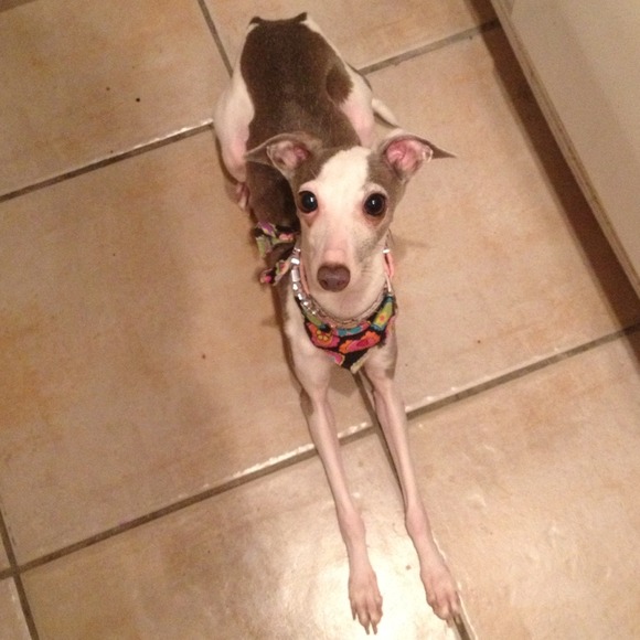 Meet my little girl :)