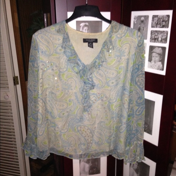Cute Silkland Sheer Top