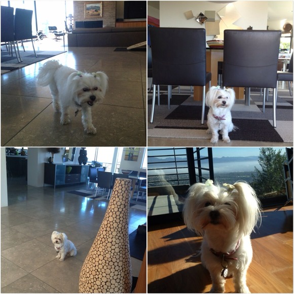 #closetcrush Not for sale! - Picture 3 of 4