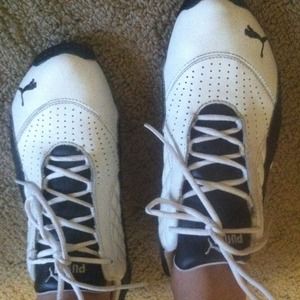 Black and white pumas