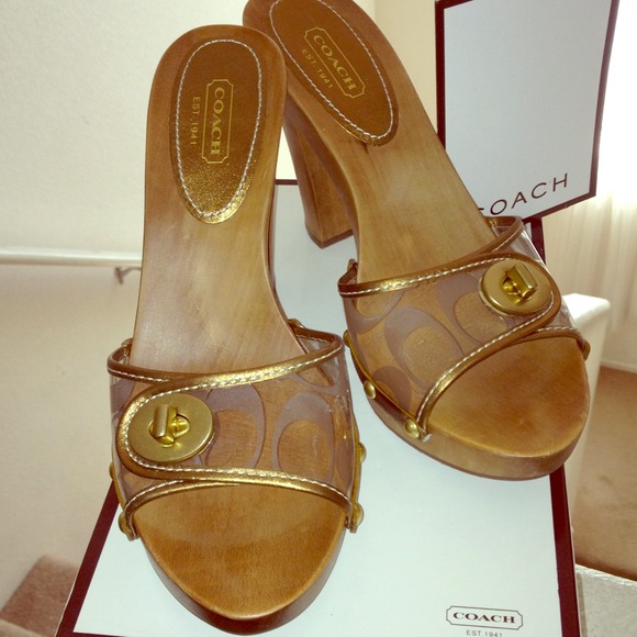 Authentic Coach Slides