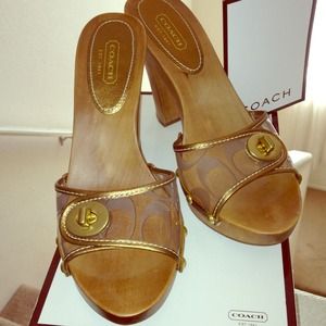 Authentic Coach Slides