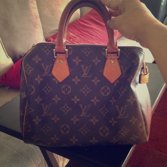 LV Speedy bag