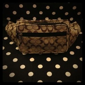 Waist Bags.  One black, and this one