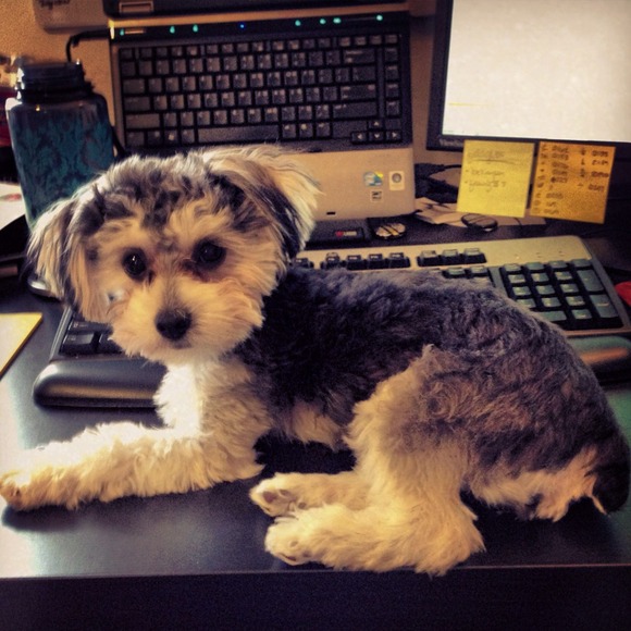 π¦ Meet Me π¦ - Picture 4 of 4