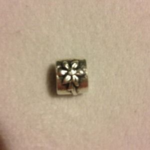Pandora charm
