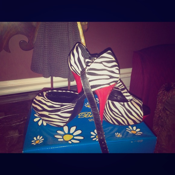 Zebra and Red shoes