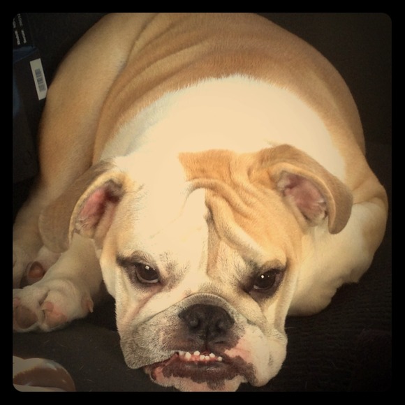 Just sharing My handsome Jabba