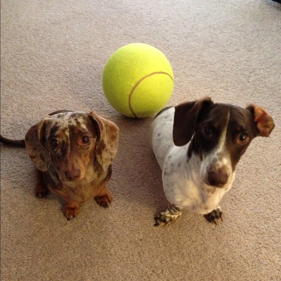 ⚓️ MEET YOUR SELLER ⚓️ - Picture 2 of 2