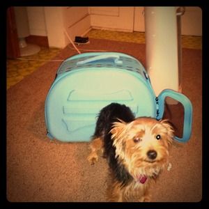 Portable pet carrier