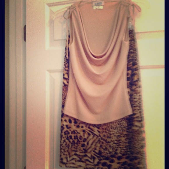 Shirt & skirt, dog shirt