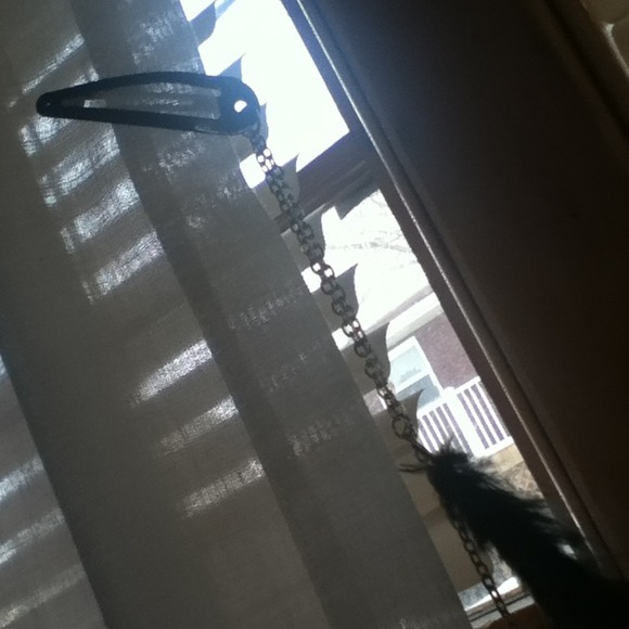 Feather - Picture 2 of 2