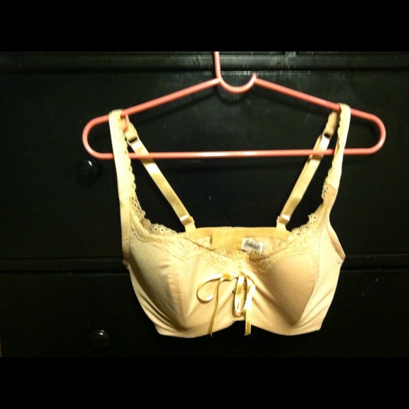 Hollywood Corset full-figure bra.