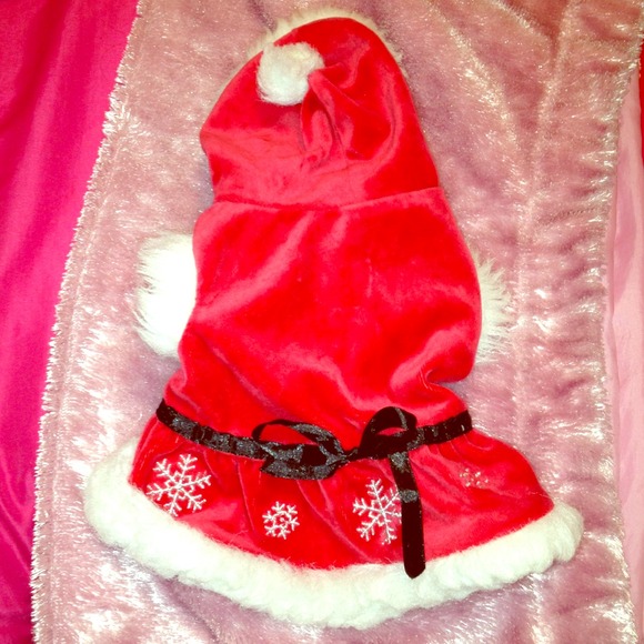 🚫SOLD🚫 XS dog Christmas Dress - Picture 1 of 4