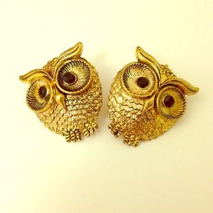 Earrings (owl)❤