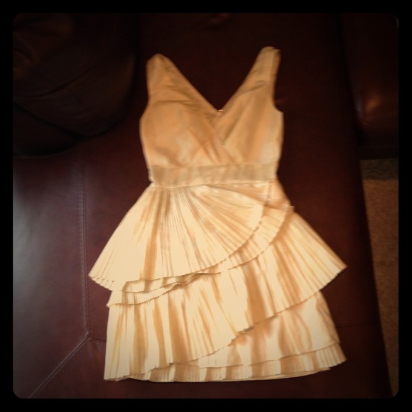 BCBG MaxandChloe dress size 2