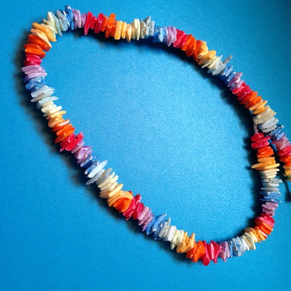 Multicolored Seashell Necklace! Never Worn! - Picture 1 of 1