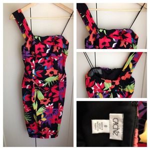 Cache Dress size 8